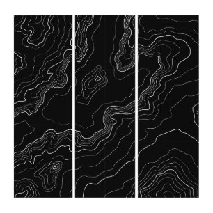 Black and white topography map triptych