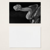 Black and White Tree Boa (Front & Back)