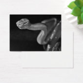 Black and White Tree Boa (Desk)