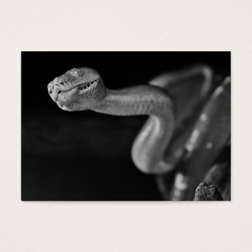 Customizable Black and White Tree Boa Business Card