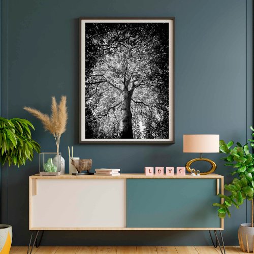 Black and White Tree FINE ART PHOTOGRAPHY Poster
