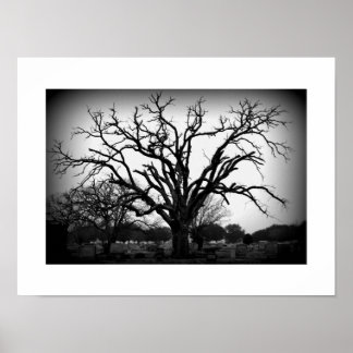 black and white tree in cemetery poster