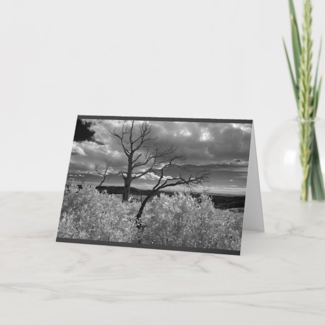 Black and white tree landscape card (Front)