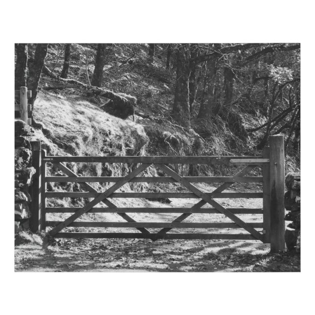 BLACK AND WHITE TREES AND GATE   FAUX CANVAS PRINT (Front)