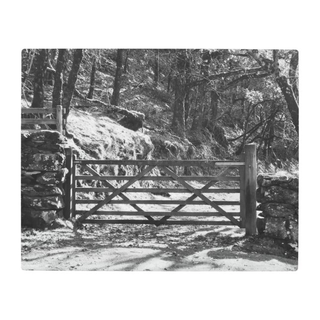 BLACK AND WHITE TREES AND GATE    METAL PRINT (Front)