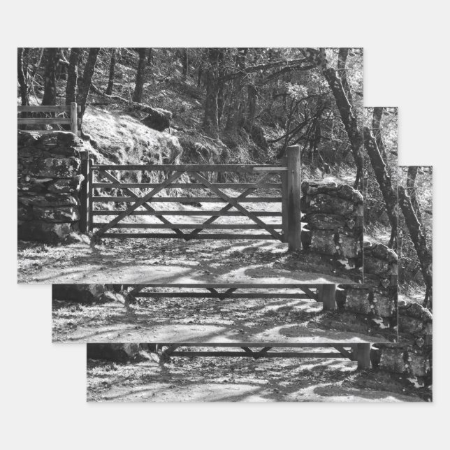 BLACK AND WHITE TREES AND GATE   WRAPPING PAPER SHEETS (Set)