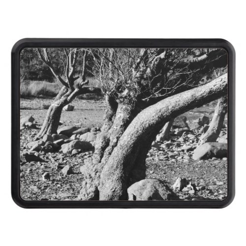 BLACK AND WHITE TREES   HITCH COVER