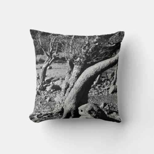 BLACK AND WHITE TREES    THROW PILLOW