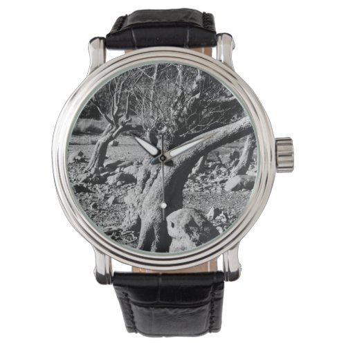 BLACK AND WHITE TREES   WATCH