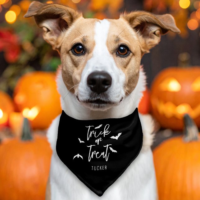 Black And White Trick Or Treat Bats Halloween Pet Bandana Collar (Creator Uploaded)