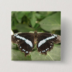 Black and White Tropical Butterfly Button