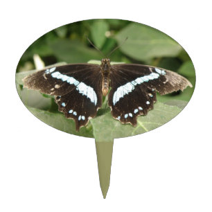 Black and White Tropical Butterfly Cake Pick