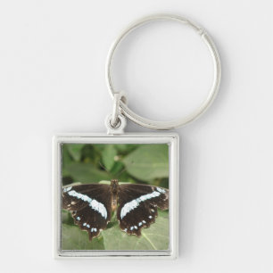 Black and White Tropical Butterfly Keychain
