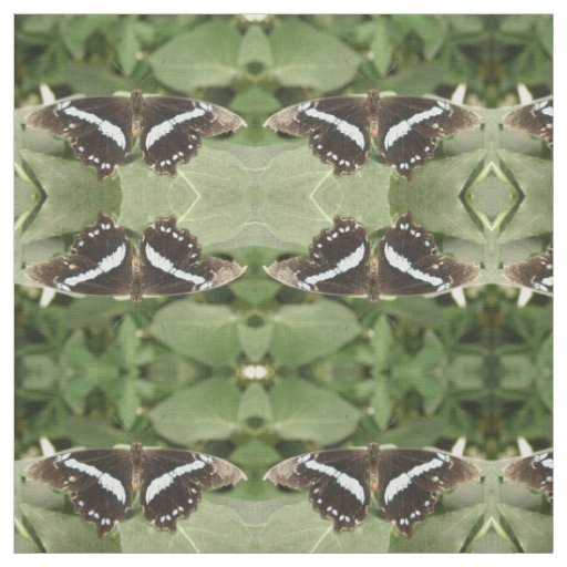 Black and White Tropical Butterfly Patterned Fabric