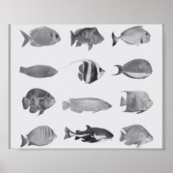 Black And White Tropical Fish Printable Art  Poster by Sozo4all at Zazzle