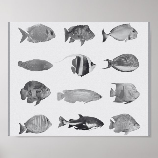 Black and White Tropical Fish Printable Art  Poster (Front)