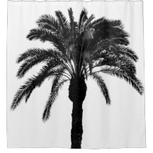 Black and white tropical palm tree
