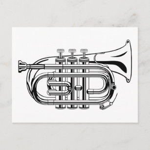 Black and White Trumpet Sketch Musical Instrument Postcard