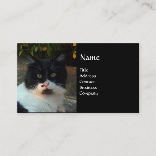 BLACK AND WHITE TURKISH CAT PIERO BUSINESS CARD