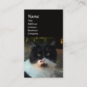 BLACK AND WHITE TURKISH CAT PIERO BUSINESS CARD