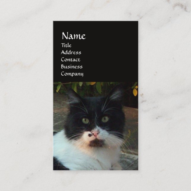 BLACK AND WHITE TURKISH CAT PIERO BUSINESS CARD (Front)