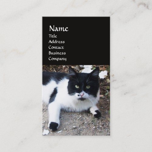 BLACK AND WHITE TURKISH CAT PIERO BUSINESS CARD