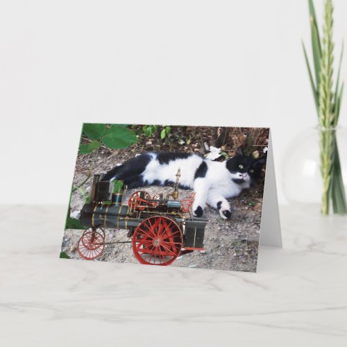 BLACK AND WHITE TURKISH CAT PIERO CARD