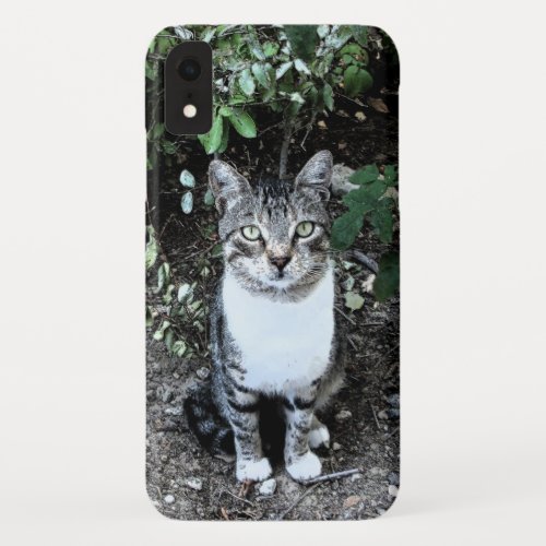 BLACK AND WHITE TURKISH CAT RONIN iPhone XR CASE