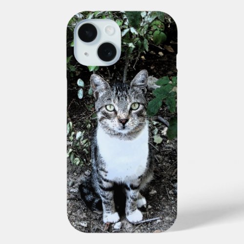 BLACK AND WHITE TURKISH CAT RONIN iPhone 15 CASE