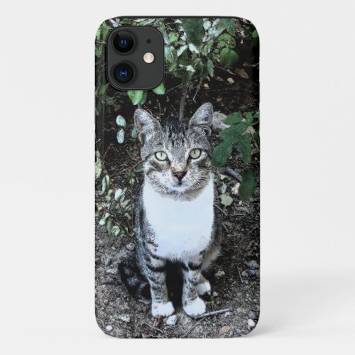 BLACK AND WHITE TURKISH CAT RONIN iPhone 11 CASE