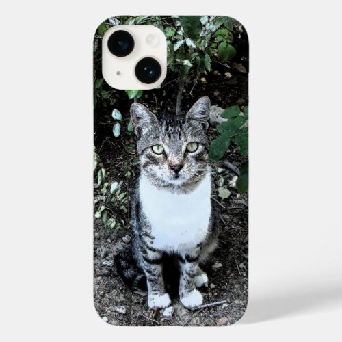 BLACK AND WHITE TURKISH CAT RONIN Case_Mate iPhone 14 CASE