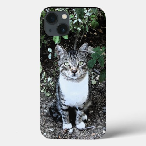 BLACK AND WHITE TURKISH CAT RONIN iPhone 13 CASE