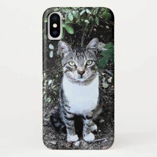 BLACK AND WHITE TURKISH CAT RONIN iPhone X CASE