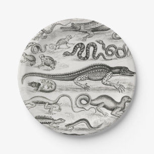 Black and White Turtle Reptiles Alligators Paper Plates