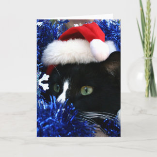 Black and white tuxedo cat christmas hat tinsel holiday card