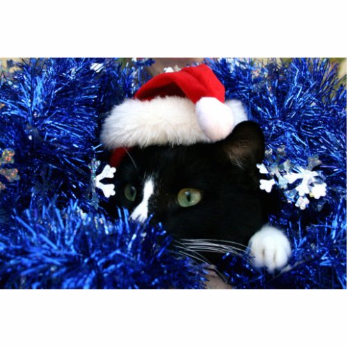 Black and white tuxedo cat christmas hat tinsel statuette