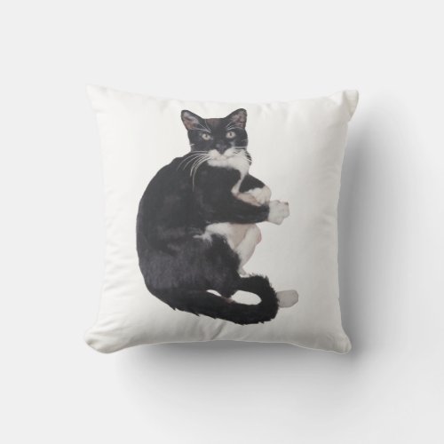 Black and white Tuxedo cat cushion
