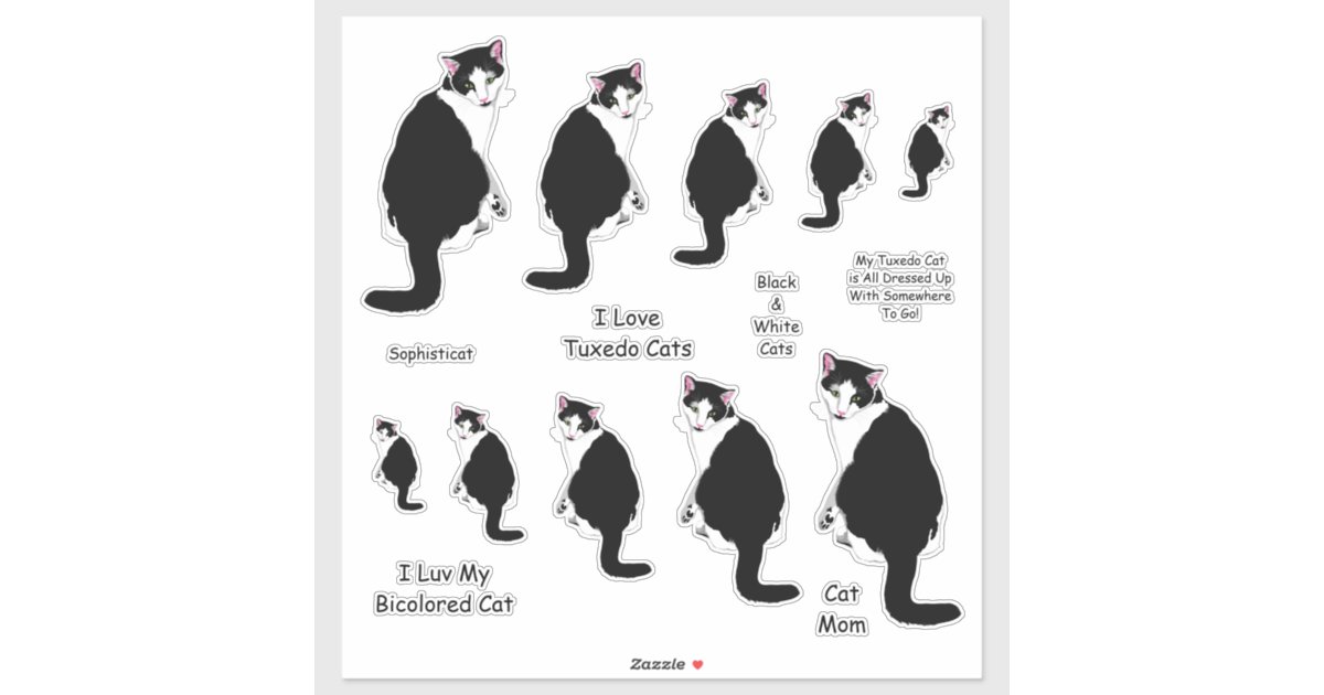 Black And White Tuxedo Cat Lg Sticker Set Zazzle Com
