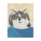 Black and White Tuxedo Cat Painting Postcards