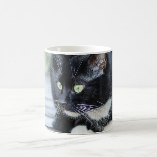 Black and White Tuxedo Cat Photo Coffee Mug