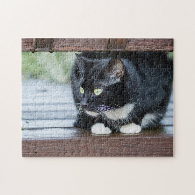 Black and White Tuxedo Cat Photo Jigsaw Puzzle (Horizontal)