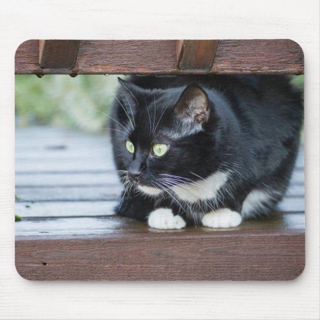 Black and White Tuxedo Cat Photo Mouse Pad (Front)