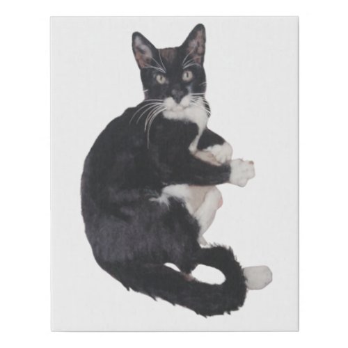 Black and white Tuxedo cat portrait Faux Canvas Print