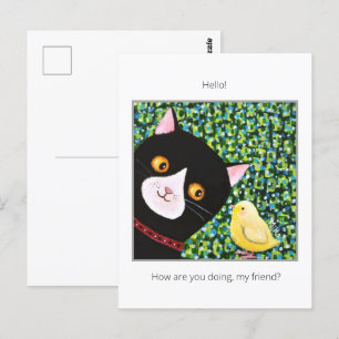 Black and white Tuxedo cat with chick Hello friend Postcard
