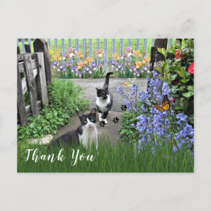 Black and White Tuxedo Cats in Garden Thank You Postcard