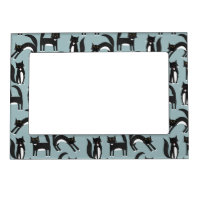 Black and White Tuxedo Cats