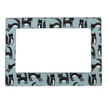 Black and White Tuxedo Cats Magnetic Frame