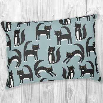 Black And White Tuxedo Cats Pet Bed by Squirrell at Zazzle
