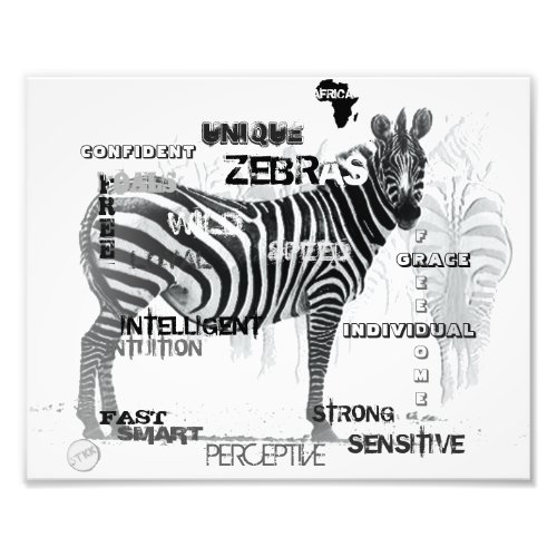 Black and White Unique Zebras Typography Photo Print