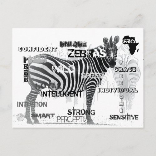 Black and White Unique Zebras Typography Postcard